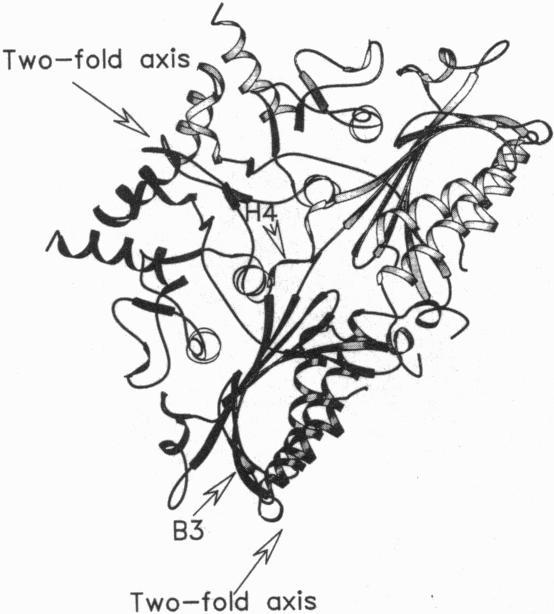https://cdn.ncbi.nlm.nih.gov/pmc/blobs/8a15/45462/6c799795c29d/pnas01477-0141-a.jpg