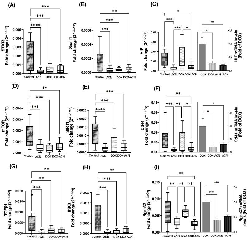 https://cdn.ncbi.nlm.nih.gov/pmc/blobs/8a16/12346644/81635770469d/ijms-26-07225-g002.jpg