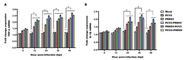 https://cdn.ncbi.nlm.nih.gov/pmc/blobs/8a17/10058123/7c3b4f4bcfb1/viruses-15-00777-g005.jpg