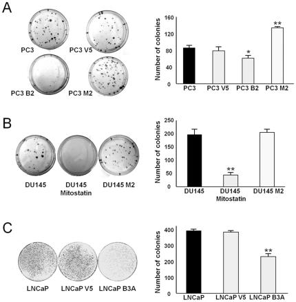 https://cdn.ncbi.nlm.nih.gov/pmc/blobs/8a17/3089640/c8fa6e8b1e25/pone.0019771.g002.jpg