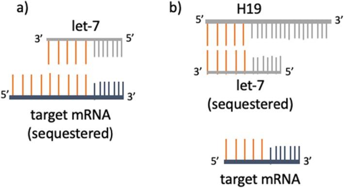 https://cdn.ncbi.nlm.nih.gov/pmc/blobs/8a17/7218823/0f7f972907e4/12958_2020_578_Fig3_HTML.jpg