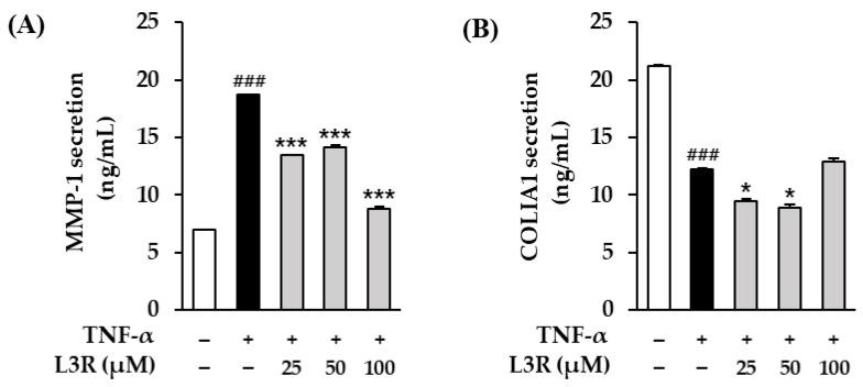 https://cdn.ncbi.nlm.nih.gov/pmc/blobs/8a18/10376084/75bbe67681f1/antioxidants-12-01432-g006.jpg