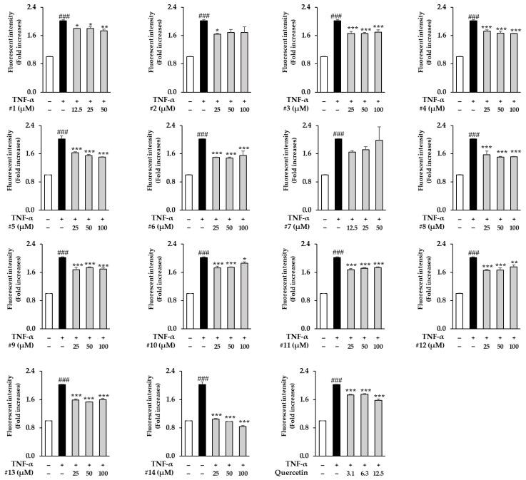 https://cdn.ncbi.nlm.nih.gov/pmc/blobs/8a18/10376084/c7670431e6bb/antioxidants-12-01432-g004.jpg