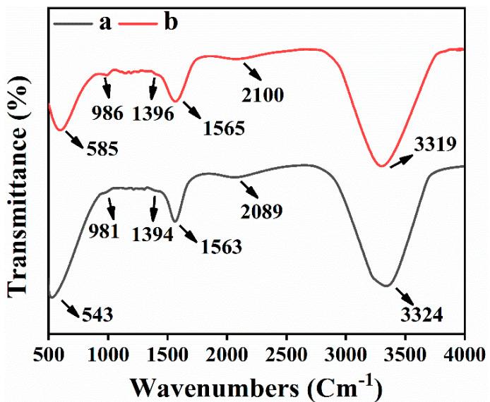 https://cdn.ncbi.nlm.nih.gov/pmc/blobs/8a18/7913007/04f9dfeee1f0/biomolecules-11-00206-g003.jpg