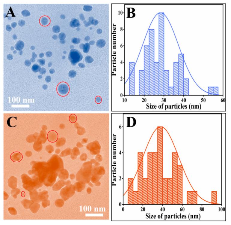 https://cdn.ncbi.nlm.nih.gov/pmc/blobs/8a18/7913007/38551b8152f3/biomolecules-11-00206-g004.jpg