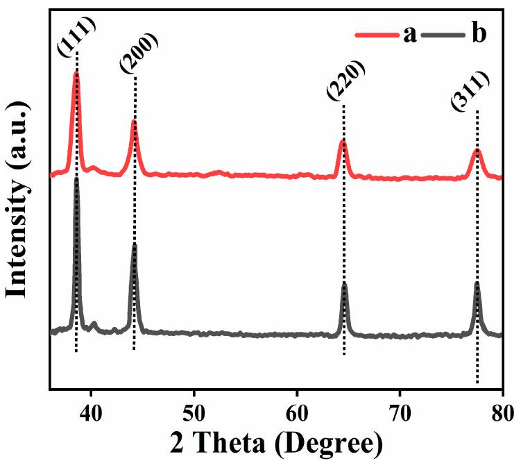 https://cdn.ncbi.nlm.nih.gov/pmc/blobs/8a18/7913007/51bce2e22dc6/biomolecules-11-00206-g002.jpg