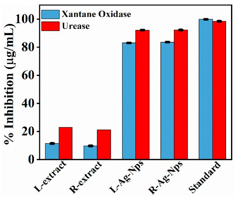 https://cdn.ncbi.nlm.nih.gov/pmc/blobs/8a18/7913007/88d3c085bbe6/biomolecules-11-00206-g007.jpg