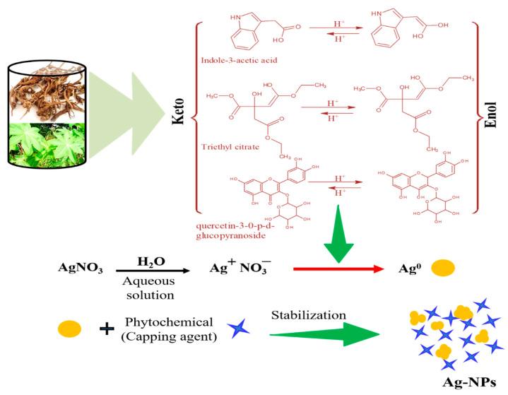https://cdn.ncbi.nlm.nih.gov/pmc/blobs/8a18/7913007/e0a7d5ba3476/biomolecules-11-00206-sch001.jpg