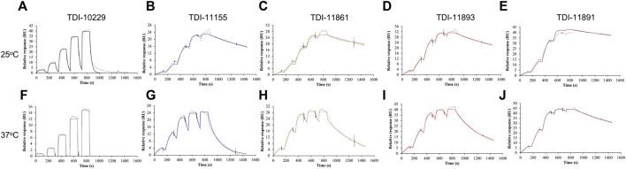 https://cdn.ncbi.nlm.nih.gov/pmc/blobs/8a18/9554468/cc2aec32937e/fphys-13-1013845-g003.jpg