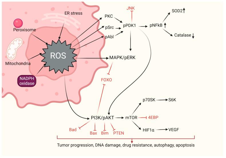https://cdn.ncbi.nlm.nih.gov/pmc/blobs/8a1c/10855093/3c9cf384387b/ijms-25-01633-g002.jpg