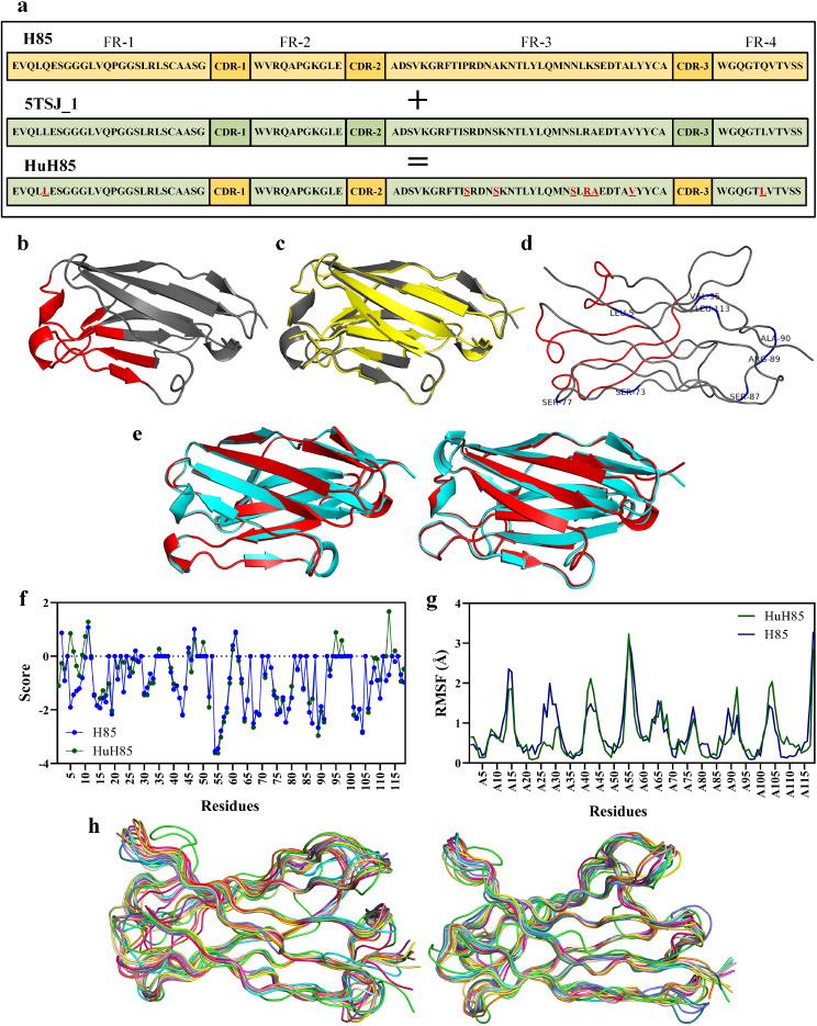 https://cdn.ncbi.nlm.nih.gov/pmc/blobs/8a1c/11271212/8effa785f8f4/12967_2024_5461_Fig2_HTML.jpg