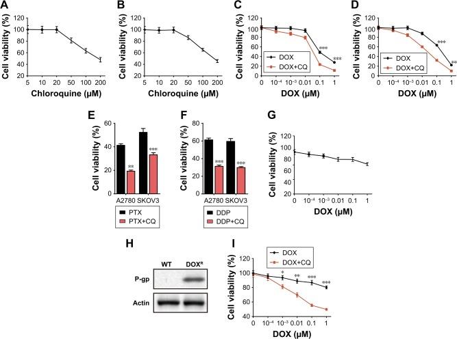 https://cdn.ncbi.nlm.nih.gov/pmc/blobs/8a1c/6284531/58648a8e2994/ijn-13-8231Fig1.jpg