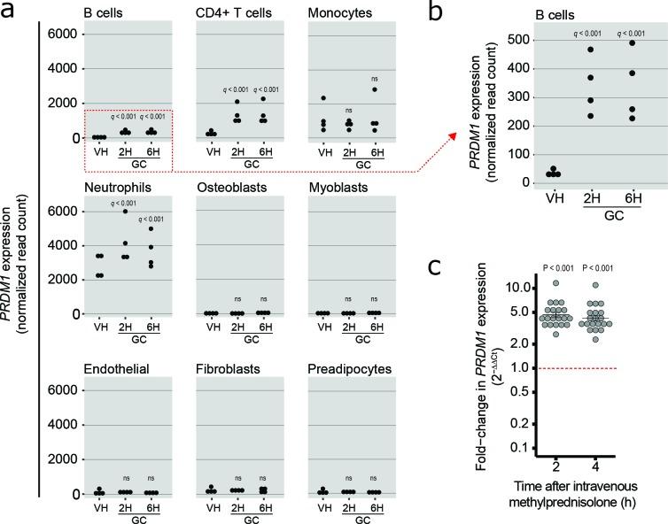 https://cdn.ncbi.nlm.nih.gov/pmc/blobs/8a1c/6363437/64f0760ac75f/JEM_20180595_Fig4.jpg