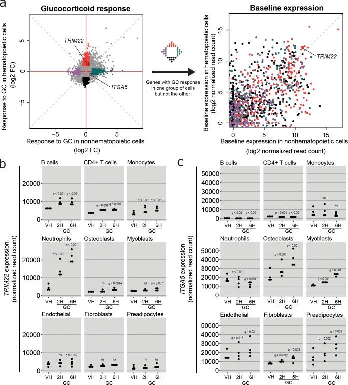 https://cdn.ncbi.nlm.nih.gov/pmc/blobs/8a1c/6363437/d648d1362ae1/JEM_20180595_Fig2.jpg