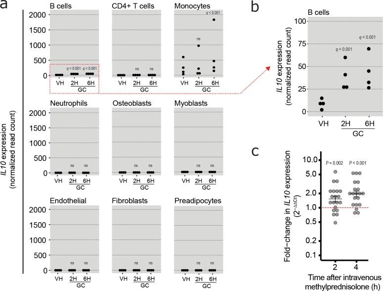 https://cdn.ncbi.nlm.nih.gov/pmc/blobs/8a1c/6363437/fa38659850f8/JEM_20180595_Fig5.jpg