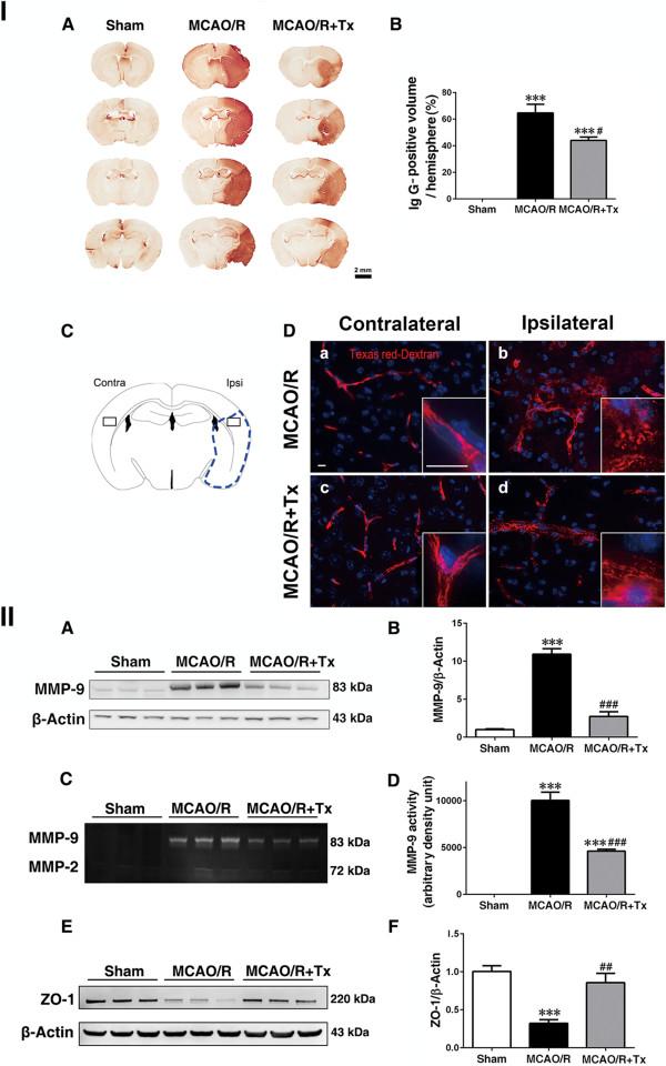 https://cdn.ncbi.nlm.nih.gov/pmc/blobs/8a1f/4445985/3757d8659f81/13287_2014_439_Fig4_HTML.jpg