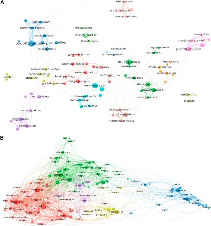 https://cdn.ncbi.nlm.nih.gov/pmc/blobs/8a1f/8319769/c604b9e50a84/fphar-12-690392-g003.jpg