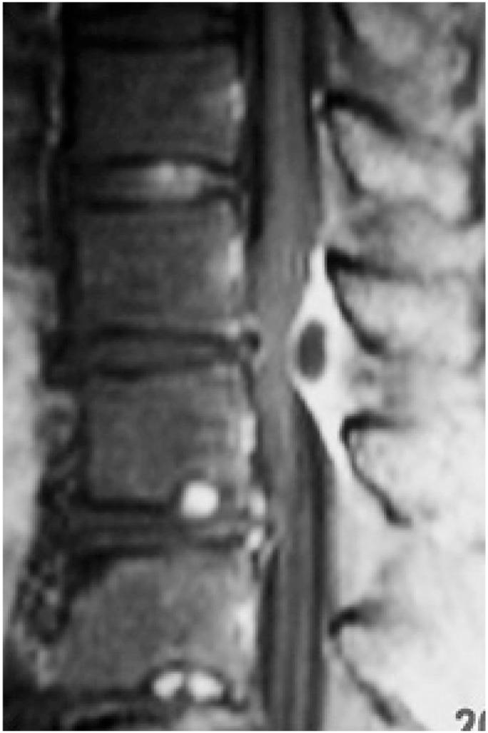 https://cdn.ncbi.nlm.nih.gov/pmc/blobs/8a20/4404532/b6d317822fa6/asj-9-194-g004.jpg