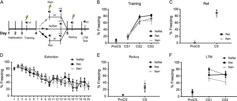 https://cdn.ncbi.nlm.nih.gov/pmc/blobs/8a22/6785714/decf5973cf2d/41386_2018_299_Fig2_HTML.jpg