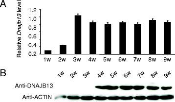 https://cdn.ncbi.nlm.nih.gov/pmc/blobs/8a23/4236558/5b3882d98aec/s12861-014-0038-5-2.jpg