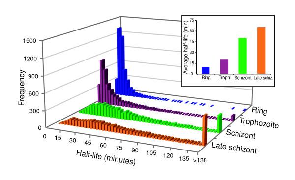https://cdn.ncbi.nlm.nih.gov/pmc/blobs/8a24/2323219/0183ba463bca/gb-2007-8-7-r134-4.jpg