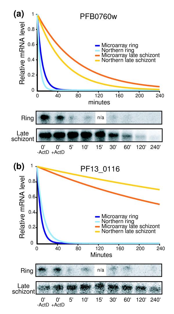 https://cdn.ncbi.nlm.nih.gov/pmc/blobs/8a24/2323219/165623a2e096/gb-2007-8-7-r134-5.jpg