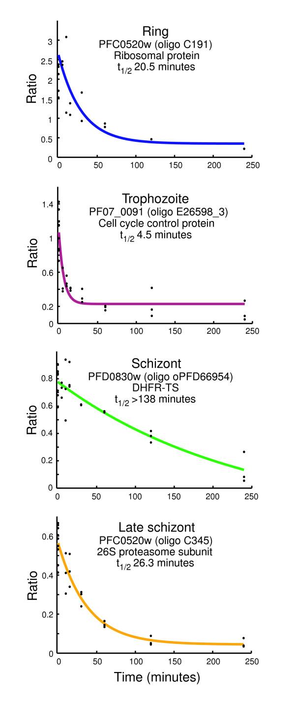https://cdn.ncbi.nlm.nih.gov/pmc/blobs/8a24/2323219/934187b41548/gb-2007-8-7-r134-3.jpg