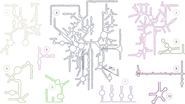 https://cdn.ncbi.nlm.nih.gov/pmc/blobs/8a25/8728168/e4f88c7c6ab0/gkab1127fig4.jpg
