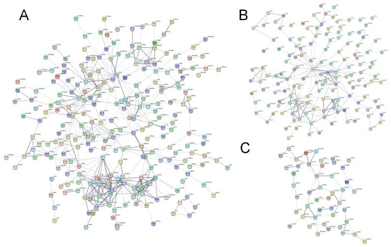 https://cdn.ncbi.nlm.nih.gov/pmc/blobs/8a27/10608837/61c236c2abea/molecules-28-07104-g005.jpg