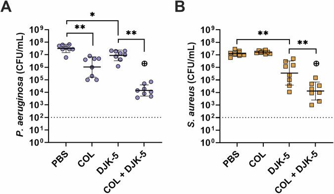 https://cdn.ncbi.nlm.nih.gov/pmc/blobs/8a27/11711674/784021d4f813/41522_2024_637_Fig2_HTML.jpg
