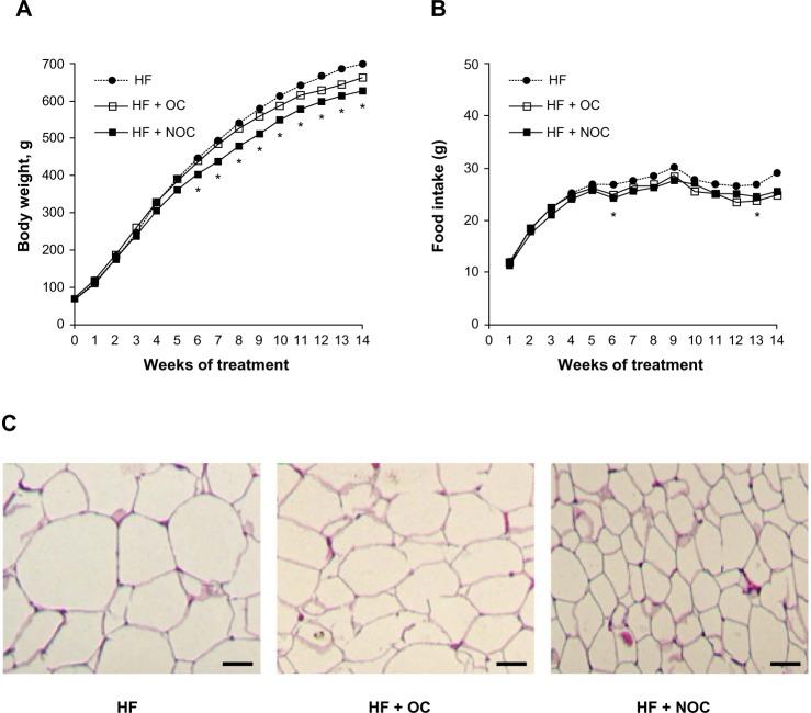 https://cdn.ncbi.nlm.nih.gov/pmc/blobs/8a29/3883587/4876dfe75316/ijn-9-301Fig2.jpg