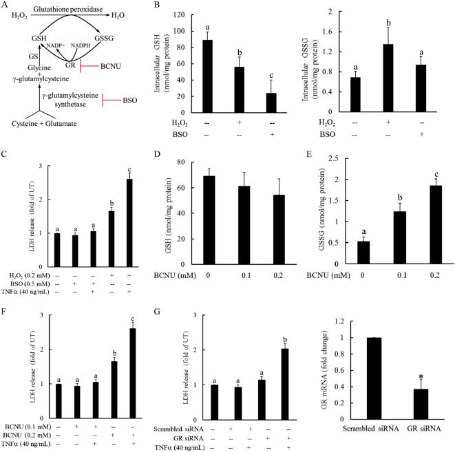 https://cdn.ncbi.nlm.nih.gov/pmc/blobs/8a29/5938004/19fa548934a4/12276_2017_13_Fig3_HTML.jpg