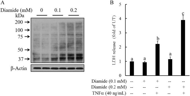 https://cdn.ncbi.nlm.nih.gov/pmc/blobs/8a29/5938004/a0ef13efb85d/12276_2017_13_Fig5_HTML.jpg