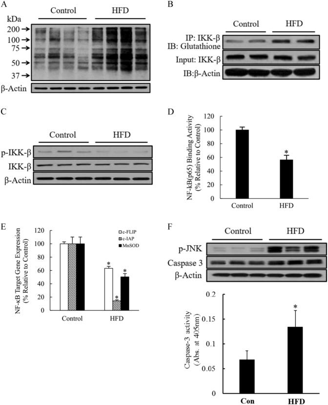 https://cdn.ncbi.nlm.nih.gov/pmc/blobs/8a29/5938004/af20dda28cad/12276_2017_13_Fig7_HTML.jpg