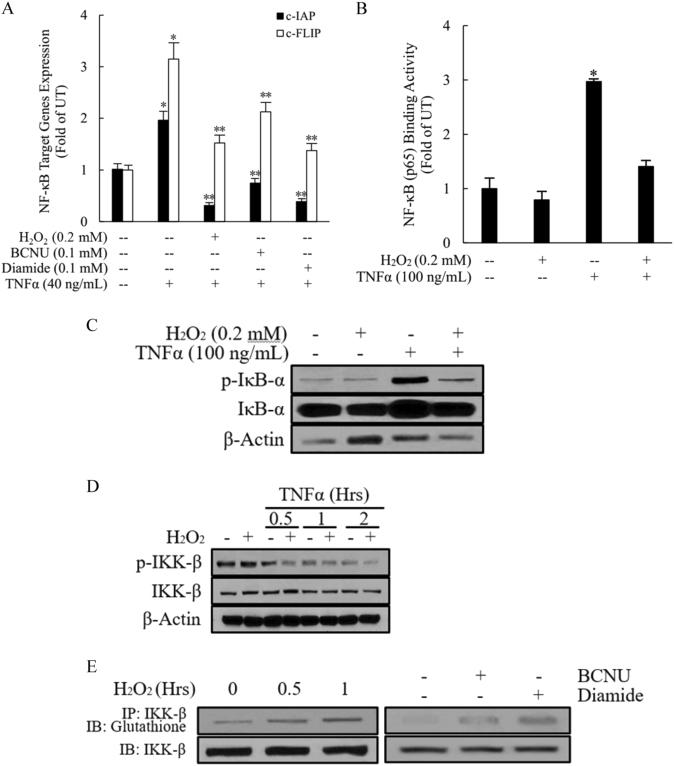 https://cdn.ncbi.nlm.nih.gov/pmc/blobs/8a29/5938004/b9b92a243351/12276_2017_13_Fig6_HTML.jpg
