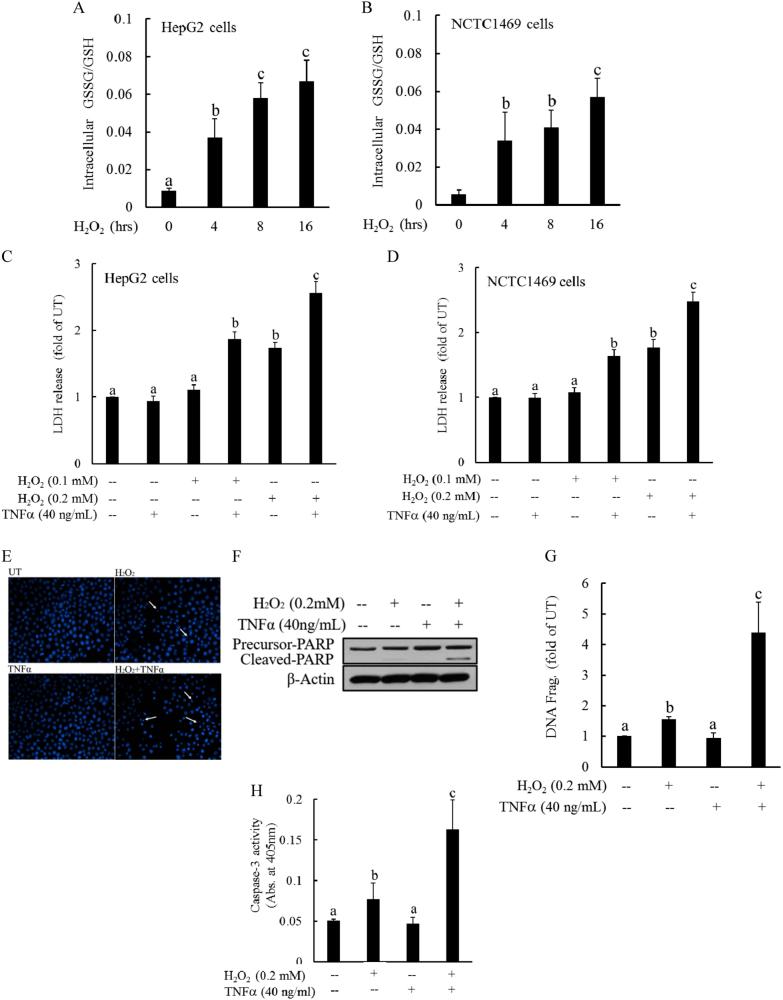 https://cdn.ncbi.nlm.nih.gov/pmc/blobs/8a29/5938004/cfe2b9271e24/12276_2017_13_Fig2_HTML.jpg