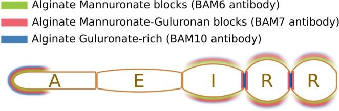 https://cdn.ncbi.nlm.nih.gov/pmc/blobs/8a29/6736953/5962f07c28d3/41598_2019_49427_Fig5_HTML.jpg