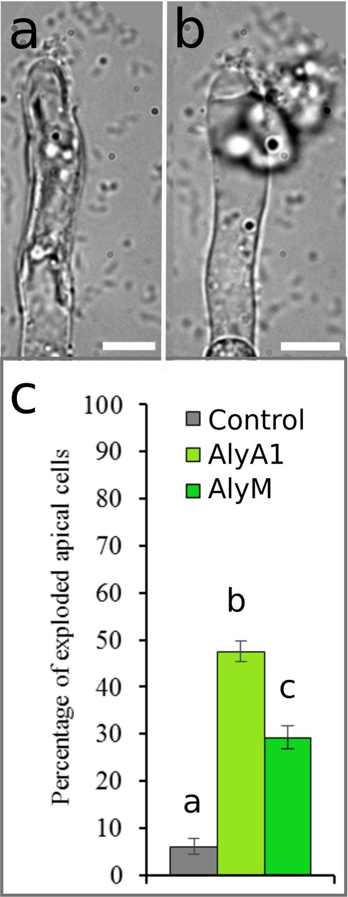https://cdn.ncbi.nlm.nih.gov/pmc/blobs/8a29/6736953/6a31f396914c/41598_2019_49427_Fig11_HTML.jpg
