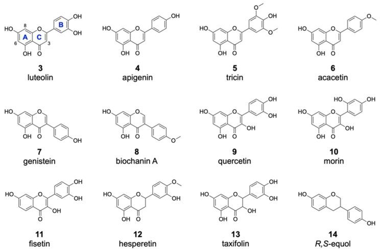 https://cdn.ncbi.nlm.nih.gov/pmc/blobs/8a29/8539768/d3136340f36a/molecules-26-06220-g003.jpg
