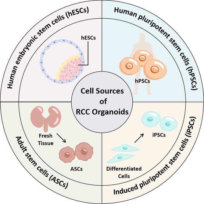 https://cdn.ncbi.nlm.nih.gov/pmc/blobs/8a2b/11165752/e34d587bf792/12894_2024_1511_Fig1_HTML.jpg