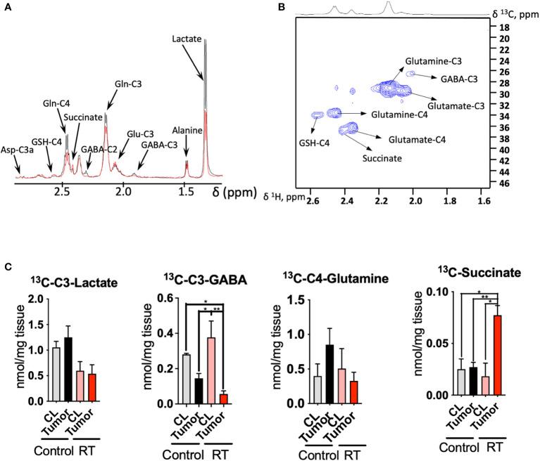 https://cdn.ncbi.nlm.nih.gov/pmc/blobs/8a2c/9638021/d26fd35bc632/fonc-12-979537-g003.jpg