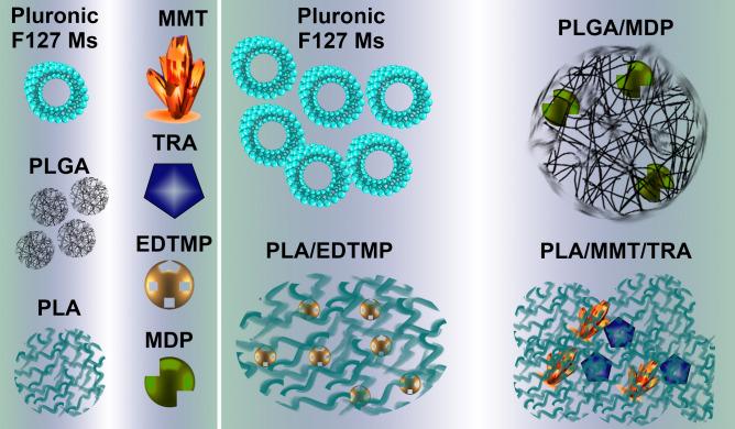 https://cdn.ncbi.nlm.nih.gov/pmc/blobs/8a2d/7884700/1639f01ef8c8/41598_2021_83291_Fig1_HTML.jpg