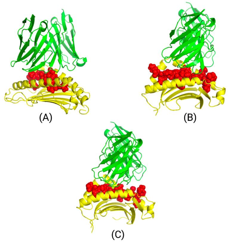 https://cdn.ncbi.nlm.nih.gov/pmc/blobs/8a2f/11048108/d99e64a2dcee/bioengineering-11-00322-g008.jpg