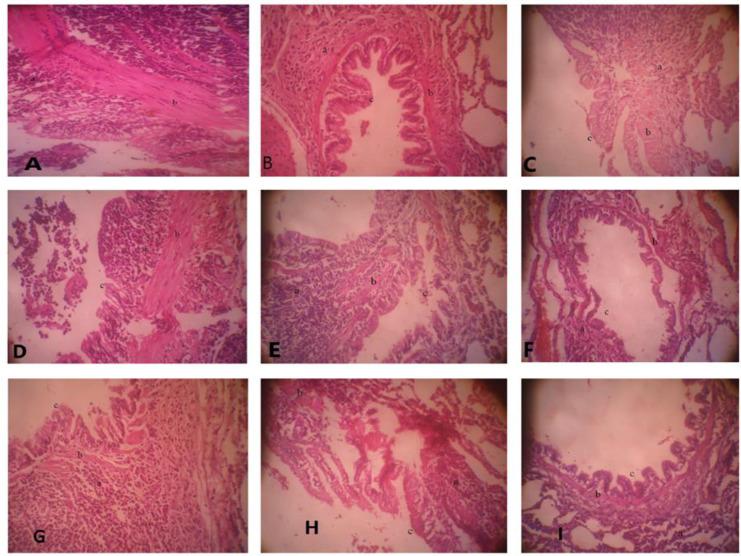 https://cdn.ncbi.nlm.nih.gov/pmc/blobs/8a2f/11221770/32b277f910bc/AJP-14-252-g004.jpg