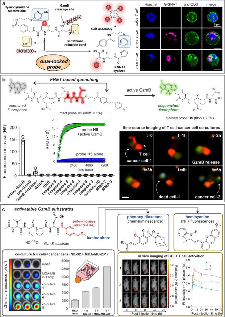 https://cdn.ncbi.nlm.nih.gov/pmc/blobs/8a30/10424634/88b445de767a/d2cs00928e-f5.jpg