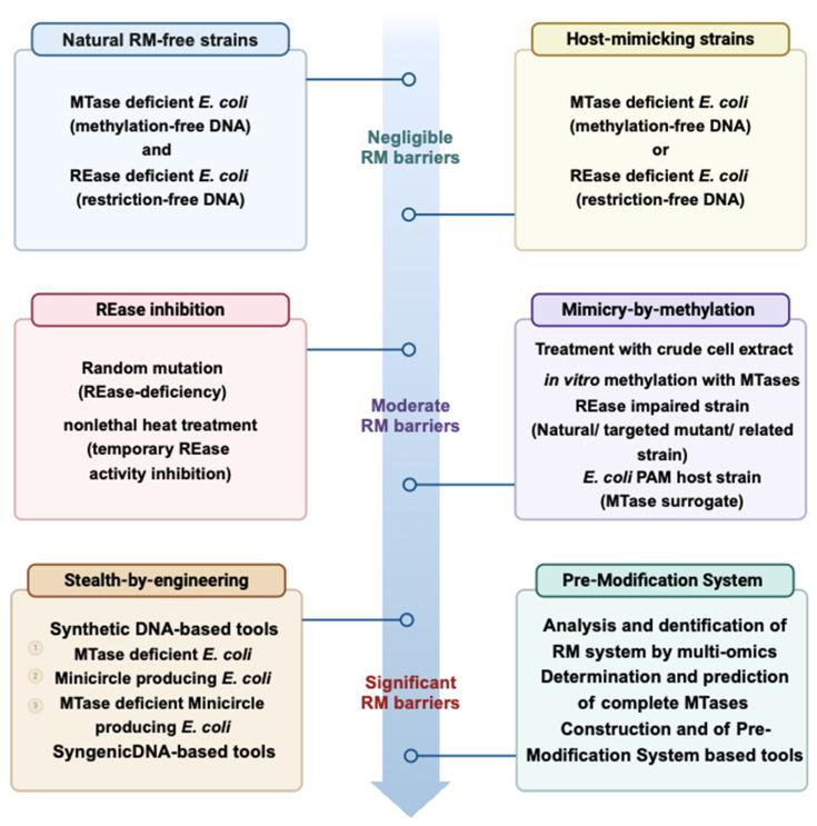 https://cdn.ncbi.nlm.nih.gov/pmc/blobs/8a30/12114051/e52cfb82c111/microorganisms-13-01126-g004.jpg