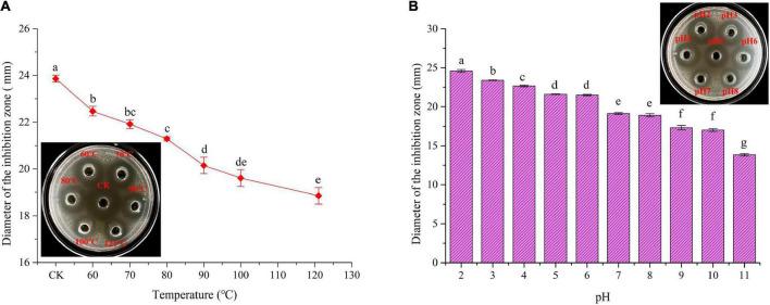 https://cdn.ncbi.nlm.nih.gov/pmc/blobs/8a30/9872010/2dbaab9bd618/fnut-09-1111880-g005.jpg