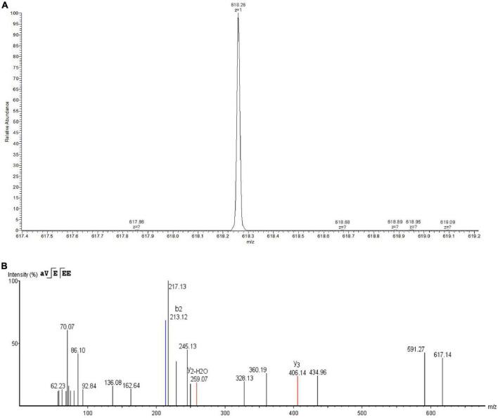 https://cdn.ncbi.nlm.nih.gov/pmc/blobs/8a30/9872010/b79b6ad809f2/fnut-09-1111880-g004.jpg