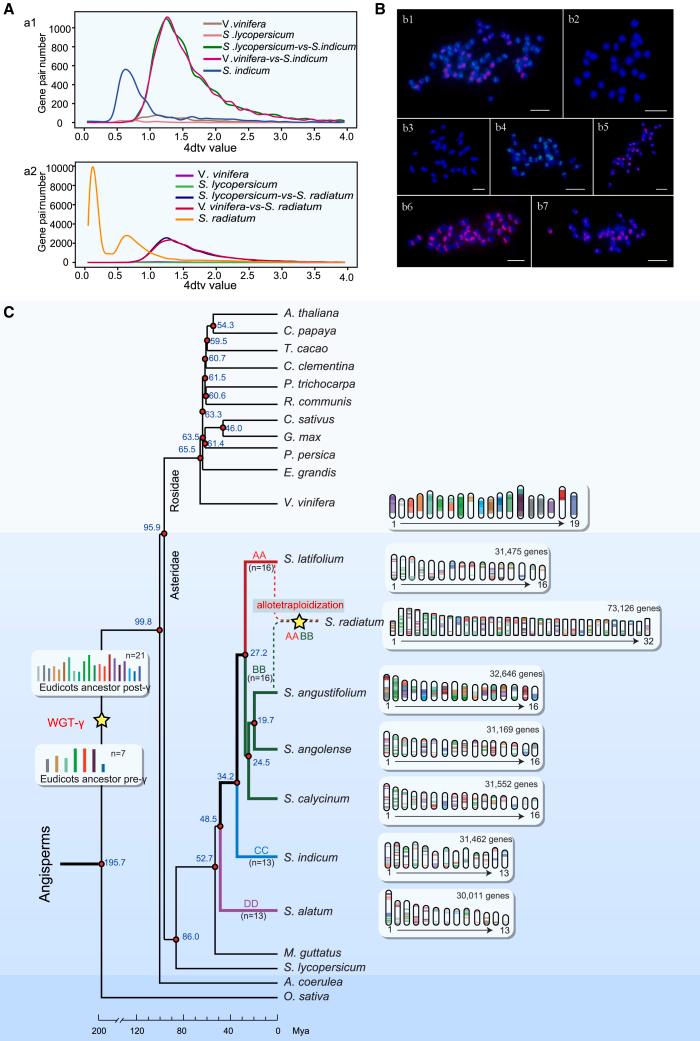 https://cdn.ncbi.nlm.nih.gov/pmc/blobs/8a33/10811377/c10f6c557a3d/gr2.jpg