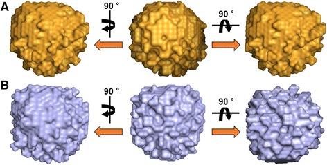 https://cdn.ncbi.nlm.nih.gov/pmc/blobs/8a34/4263063/8b325d1e896f/12900_2014_24_Fig7_HTML.jpg